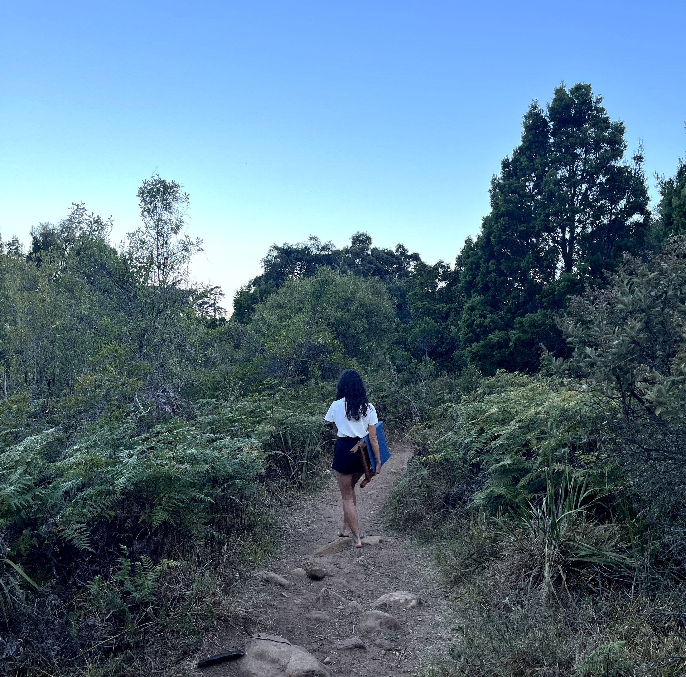 Walking a fern-lined mountain path with the folded kiaat chair